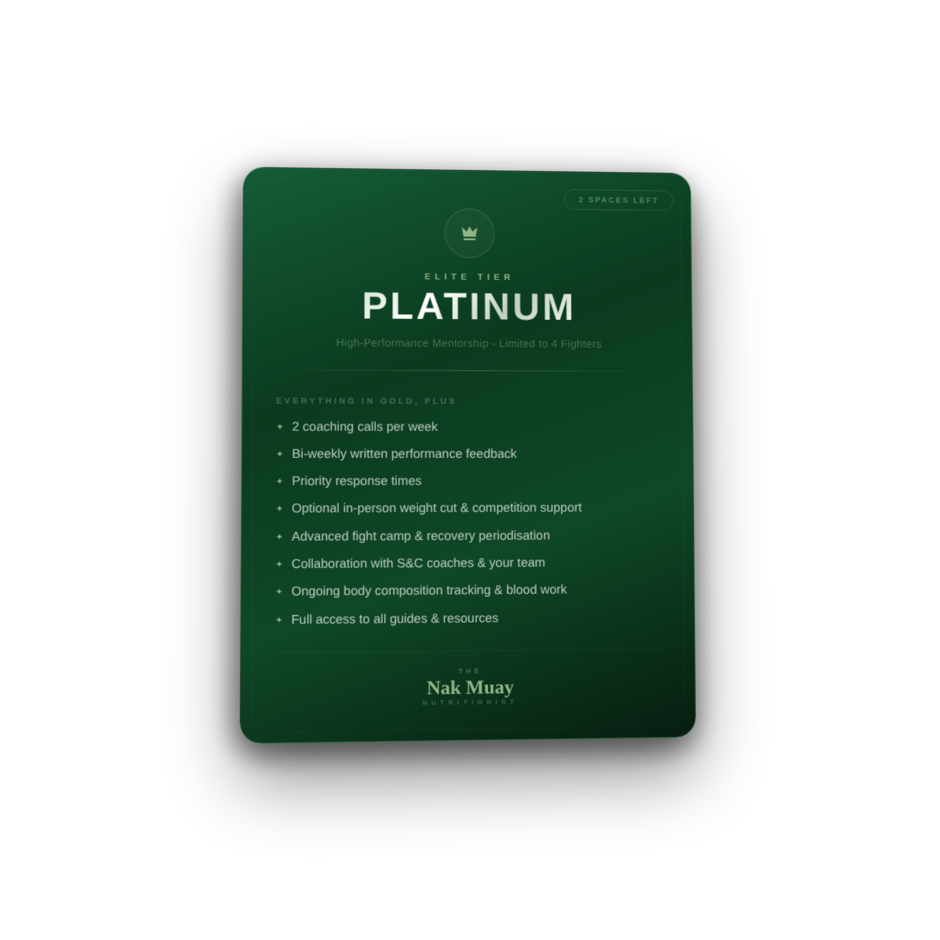 Platinum Pro Mentorship